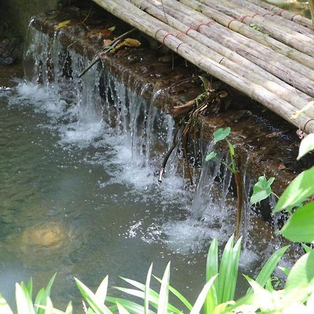Baan Rai Me Rak Organic Farmstay Pa Khlok Zewnętrze zdjęcie