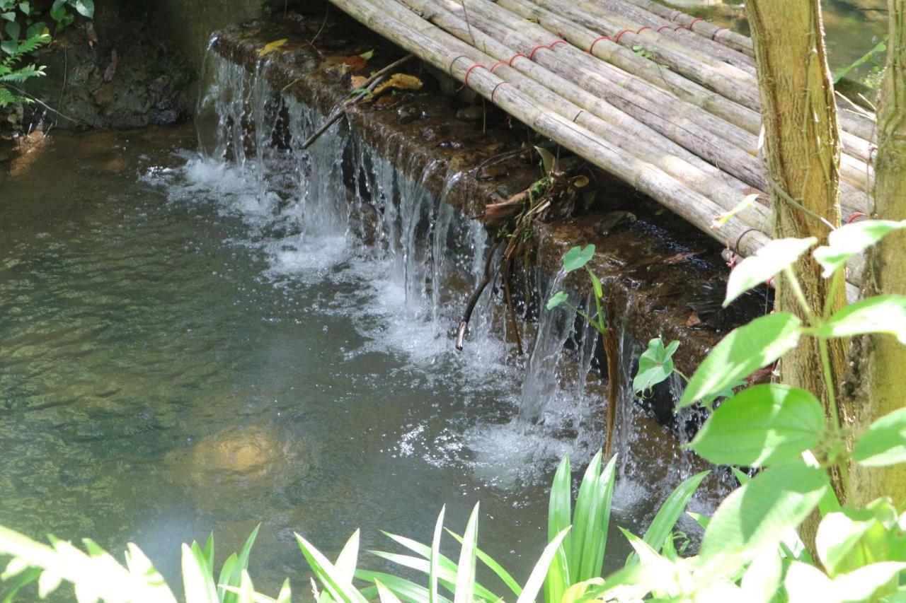 Baan Rai Me Rak Organic Farmstay Pa Khlok Zewnętrze zdjęcie